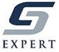 Expert System logo