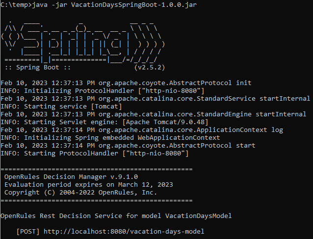 Spring Boot decision service console